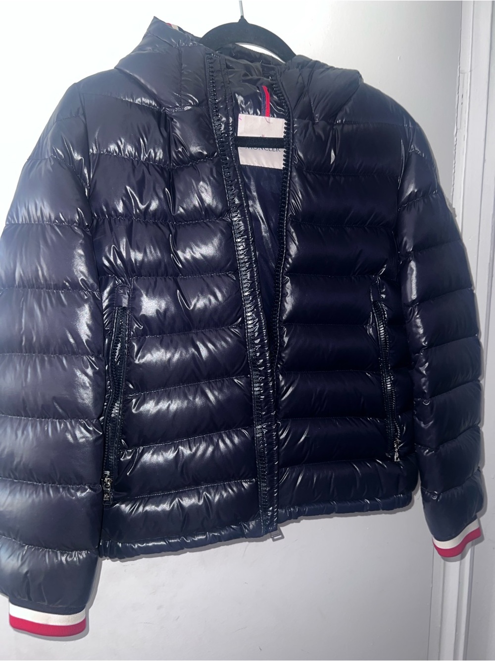 Moncler Alberic Down Jacket